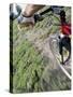 Mountain Biker on a Trail-null-Stretched Canvas