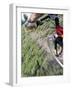 Mountain Biker on a Trail-null-Framed Photographic Print