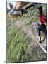 Mountain Biker on a Trail-null-Mounted Photographic Print