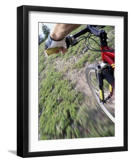 Premium Photographic Print, , large