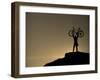 Mountain Biker on Cliffs, Turnagain Arm, Alaska, USA-Paul Souders-Framed Photographic Print