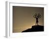 Mountain Biker on Cliffs, Turnagain Arm, Alaska, USA-Paul Souders-Framed Photographic Print