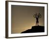 Mountain Biker on Cliffs, Turnagain Arm, Alaska, USA-Paul Souders-Framed Photographic Print