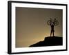 Mountain Biker on Cliffs, Turnagain Arm, Alaska, USA-Paul Souders-Framed Photographic Print