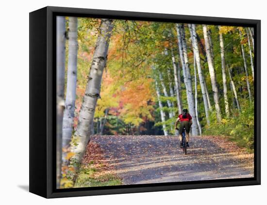 Mountain Biker on Forest Road Near Copper Harbor, Michigan, USA-Chuck Haney-Framed Stretched Canvas