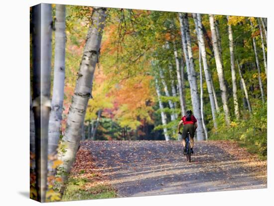 Mountain Biker on Forest Road Near Copper Harbor, Michigan, USA-Chuck Haney-Stretched Canvas