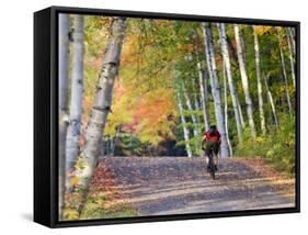 Mountain Biker on Forest Road Near Copper Harbor, Michigan, USA-Chuck Haney-Framed Stretched Canvas