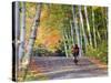 Mountain Biker on Forest Road Near Copper Harbor, Michigan, USA-Chuck Haney-Stretched Canvas