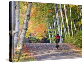 Mountain Biker on Forest Road Near Copper Harbor, Michigan, USA-Chuck Haney-Stretched Canvas