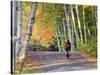 Mountain Biker on Forest Road Near Copper Harbor, Michigan, USA-Chuck Haney-Stretched Canvas