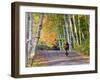 Mountain Biker on Forest Road Near Copper Harbor, Michigan, USA-Chuck Haney-Framed Photographic Print