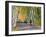 Mountain Biker on Forest Road Near Copper Harbor, Michigan, USA-Chuck Haney-Framed Photographic Print