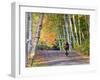 Mountain Biker on Forest Road Near Copper Harbor, Michigan, USA-Chuck Haney-Framed Photographic Print