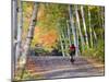 Mountain Biker on Forest Road Near Copper Harbor, Michigan, USA-Chuck Haney-Mounted Photographic Print