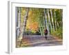 Mountain Biker on Forest Road Near Copper Harbor, Michigan, USA-Chuck Haney-Framed Photographic Print