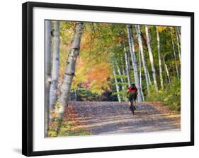 Mountain Biker on Forest Road Near Copper Harbor, Michigan, USA-Chuck Haney-Framed Photographic Print