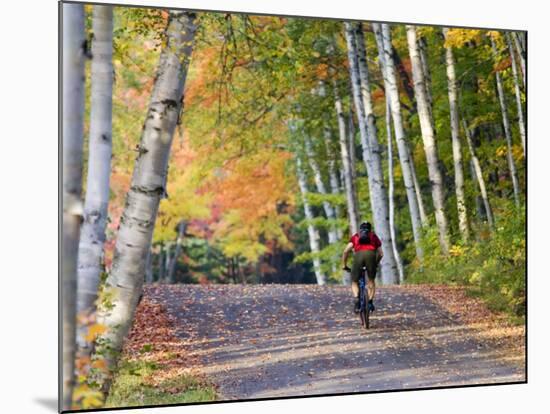 Mountain Biker on Forest Road Near Copper Harbor, Michigan, USA-Chuck Haney-Mounted Photographic Print