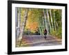 Mountain Biker on Forest Road Near Copper Harbor, Michigan, USA-Chuck Haney-Framed Photographic Print