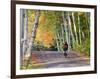 Mountain Biker on Forest Road Near Copper Harbor, Michigan, USA-Chuck Haney-Framed Photographic Print