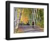 Mountain Biker on Forest Road Near Copper Harbor, Michigan, USA-Chuck Haney-Framed Photographic Print