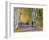 Mountain Biker on Forest Road Near Copper Harbor, Michigan, USA-Chuck Haney-Framed Photographic Print