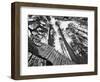 Mountain Biker on Malice in Plunderland Trail, Spencer Mountain, Whitefish, Montana, USA-Chuck Haney-Framed Photographic Print