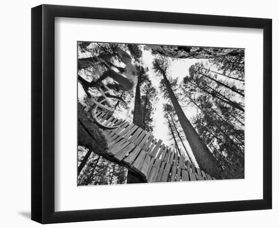 Mountain Biker on Malice in Plunderland Trail, Spencer Mountain, Whitefish, Montana, USA-Chuck Haney-Framed Photographic Print