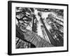 Mountain Biker on Malice in Plunderland Trail, Spencer Mountain, Whitefish, Montana, USA-Chuck Haney-Framed Photographic Print