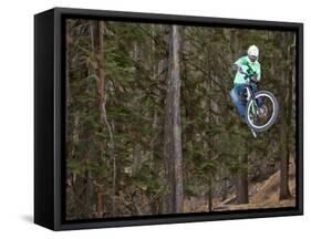 Mountain Biker on Malice in Plunderland Trail, Spencer Mountain, Whitefish, Montana, USA-Chuck Haney-Framed Stretched Canvas