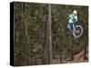 Mountain Biker on Malice in Plunderland Trail, Spencer Mountain, Whitefish, Montana, USA-Chuck Haney-Stretched Canvas