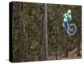 Mountain Biker on Malice in Plunderland Trail, Spencer Mountain, Whitefish, Montana, USA-Chuck Haney-Stretched Canvas