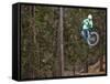 Mountain Biker on Malice in Plunderland Trail, Spencer Mountain, Whitefish, Montana, USA-Chuck Haney-Framed Stretched Canvas