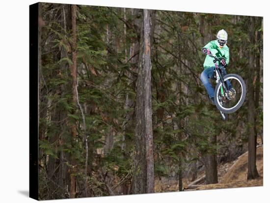 Mountain Biker on Malice in Plunderland Trail, Spencer Mountain, Whitefish, Montana, USA-Chuck Haney-Stretched Canvas