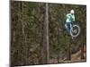 Mountain Biker on Malice in Plunderland Trail, Spencer Mountain, Whitefish, Montana, USA-Chuck Haney-Mounted Premium Photographic Print