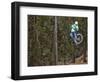 Mountain Biker on Malice in Plunderland Trail, Spencer Mountain, Whitefish, Montana, USA-Chuck Haney-Framed Photographic Print