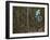 Mountain Biker on Malice in Plunderland Trail, Spencer Mountain, Whitefish, Montana, USA-Chuck Haney-Framed Photographic Print