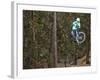 Mountain Biker on Malice in Plunderland Trail, Spencer Mountain, Whitefish, Montana, USA-Chuck Haney-Framed Photographic Print