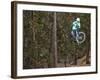 Mountain Biker on Malice in Plunderland Trail, Spencer Mountain, Whitefish, Montana, USA-Chuck Haney-Framed Photographic Print