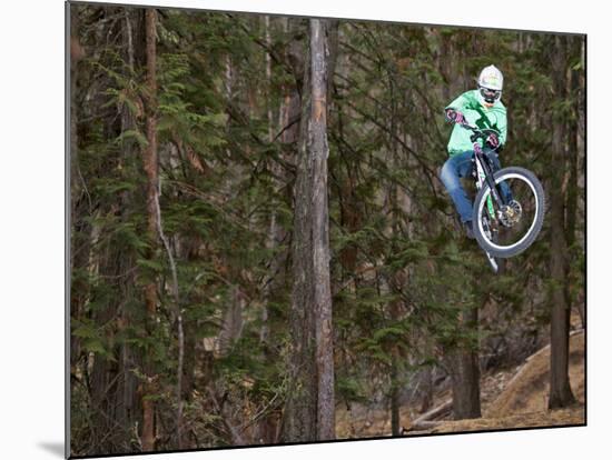 Mountain Biker on Malice in Plunderland Trail, Spencer Mountain, Whitefish, Montana, USA-Chuck Haney-Mounted Photographic Print