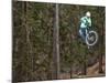 Mountain Biker on Malice in Plunderland Trail, Spencer Mountain, Whitefish, Montana, USA-Chuck Haney-Mounted Photographic Print