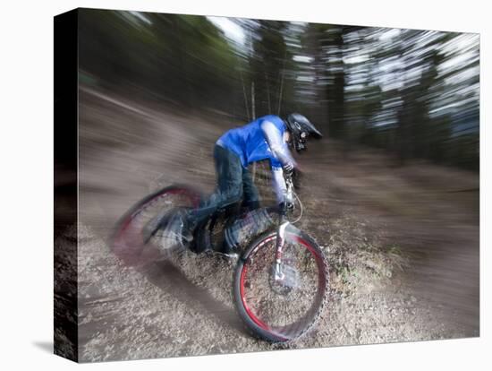Mountain Biker on Malice in Plunderland Trail, Spencer Mountain, Whitefish, Montana, USA-Chuck Haney-Stretched Canvas