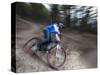 Mountain Biker on Malice in Plunderland Trail, Spencer Mountain, Whitefish, Montana, USA-Chuck Haney-Stretched Canvas