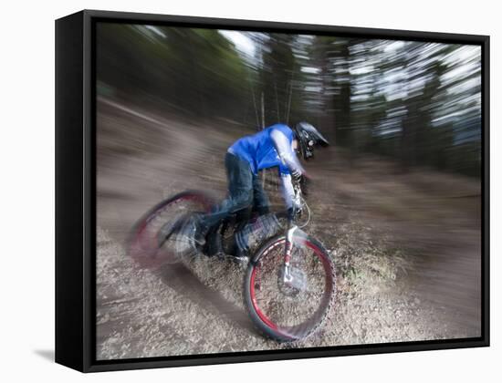 Mountain Biker on Malice in Plunderland Trail, Spencer Mountain, Whitefish, Montana, USA-Chuck Haney-Framed Stretched Canvas