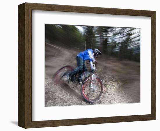 Mountain Biker on Malice in Plunderland Trail, Spencer Mountain, Whitefish, Montana, USA-Chuck Haney-Framed Photographic Print