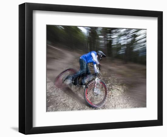 Mountain Biker on Malice in Plunderland Trail, Spencer Mountain, Whitefish, Montana, USA-Chuck Haney-Framed Photographic Print