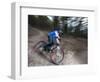 Mountain Biker on Malice in Plunderland Trail, Spencer Mountain, Whitefish, Montana, USA-Chuck Haney-Framed Photographic Print