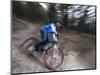 Mountain Biker on Malice in Plunderland Trail, Spencer Mountain, Whitefish, Montana, USA-Chuck Haney-Mounted Photographic Print