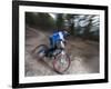 Mountain Biker on Malice in Plunderland Trail, Spencer Mountain, Whitefish, Montana, USA-Chuck Haney-Framed Photographic Print