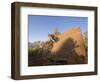 Mountain Biker on Natural Wall Ride, Rockville, Utah, USA-Chuck Haney-Framed Photographic Print