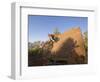 Mountain Biker on Natural Wall Ride, Rockville, Utah, USA-Chuck Haney-Framed Photographic Print